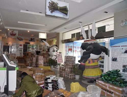 整合規(guī)范物流快遞，打造電商生態(tài)體系下的普通貨物倉儲服務新格局